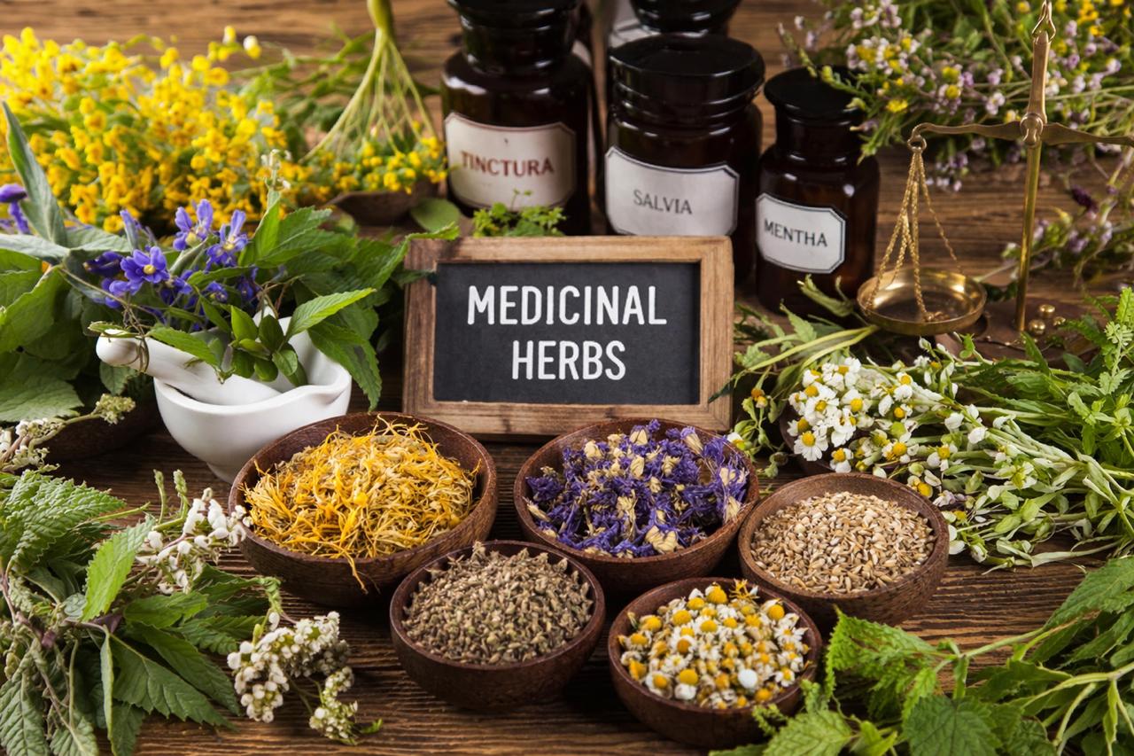 Medicinal Herbs
