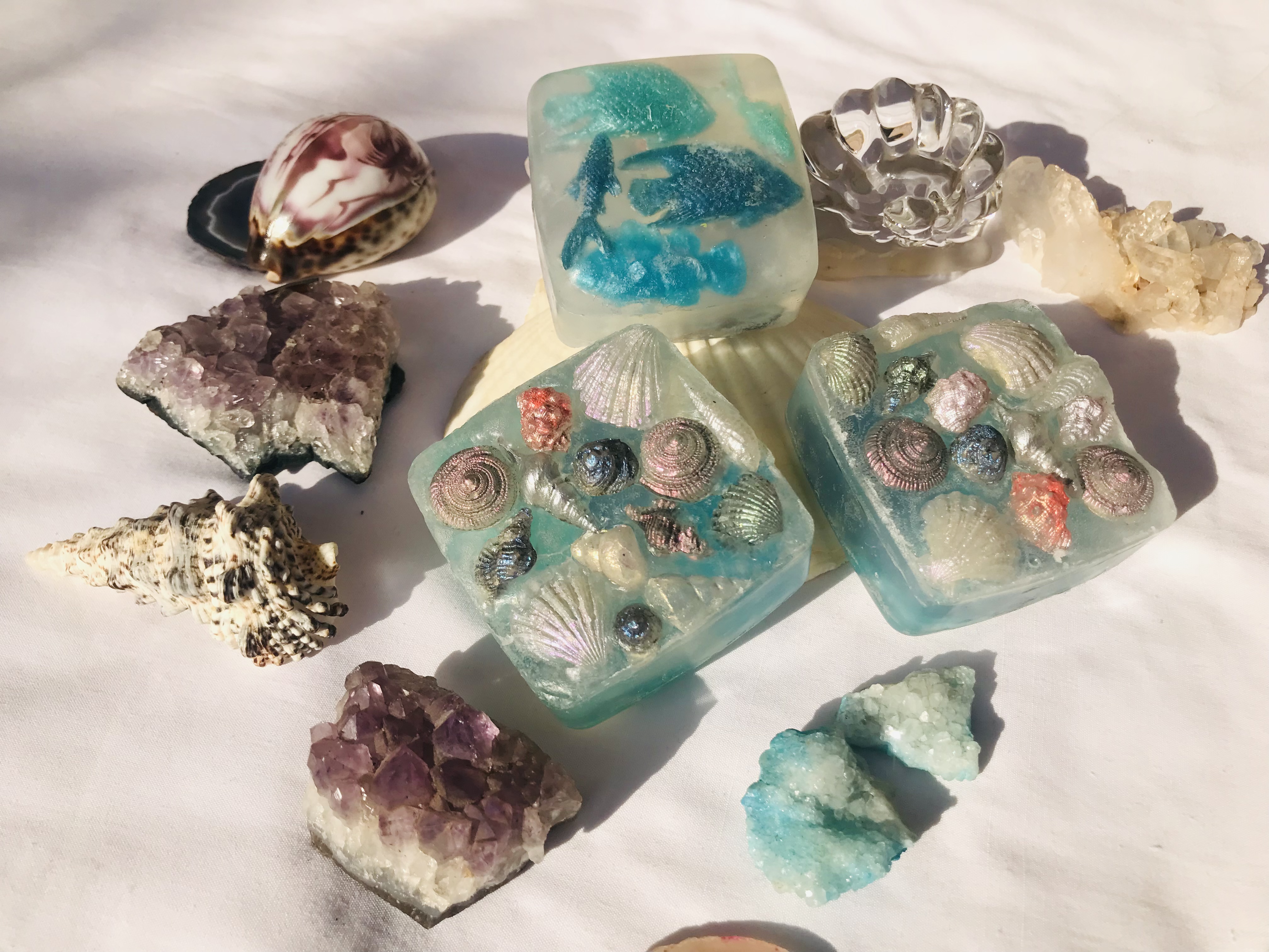 Coral Reef