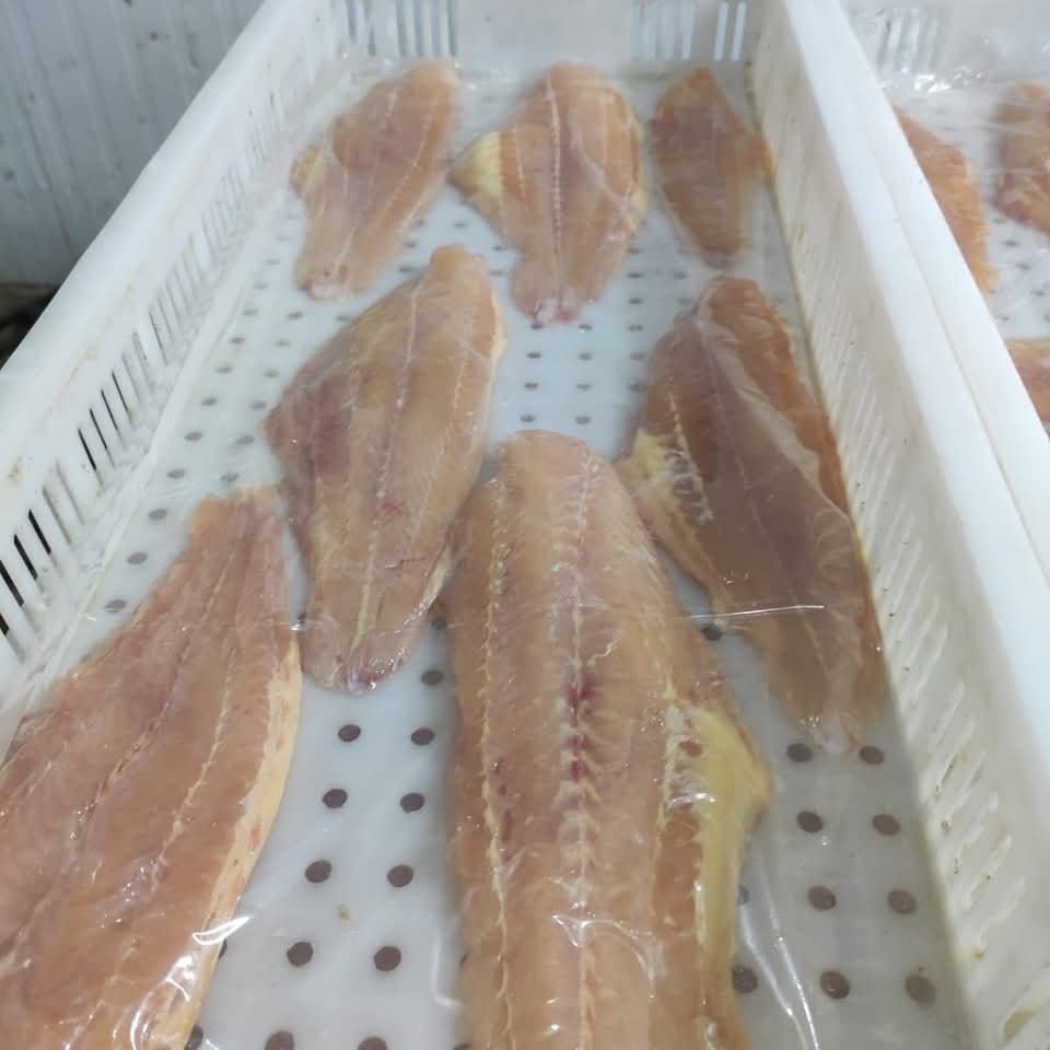 Pngasius Fish Fillet