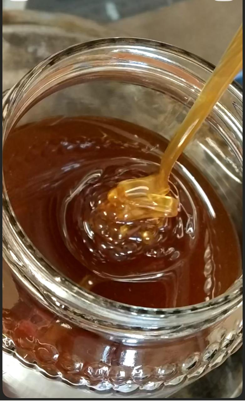 Bair wild forest honey