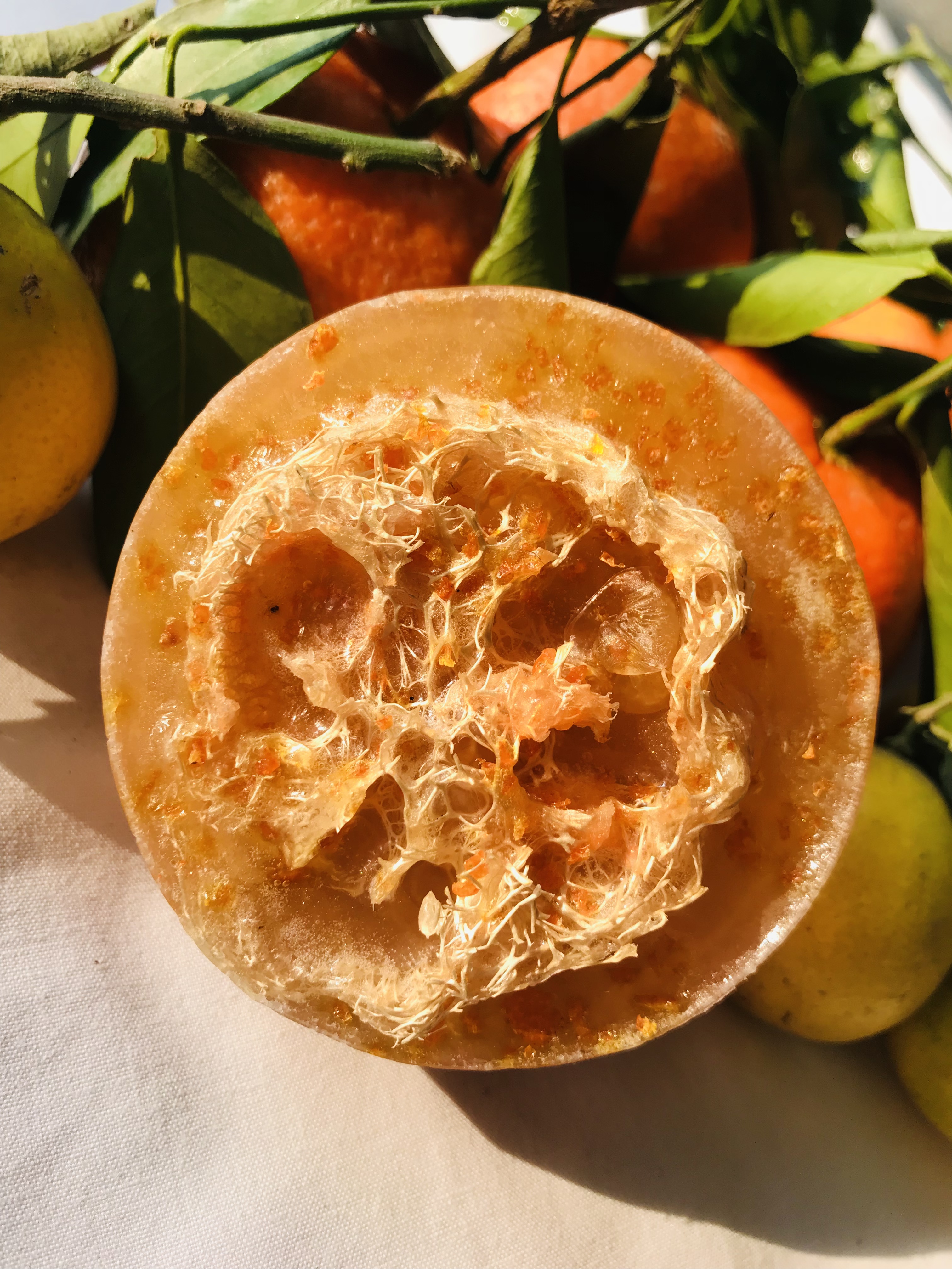 Citrus Loofah