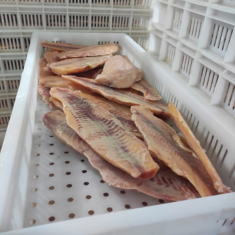 Pngasius Fish Fillet