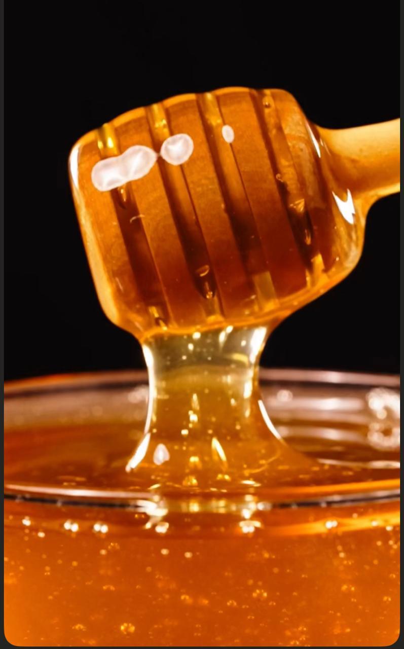 Bair wild forest honey