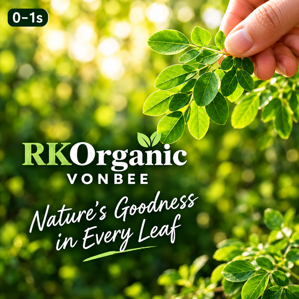 Moringa powder